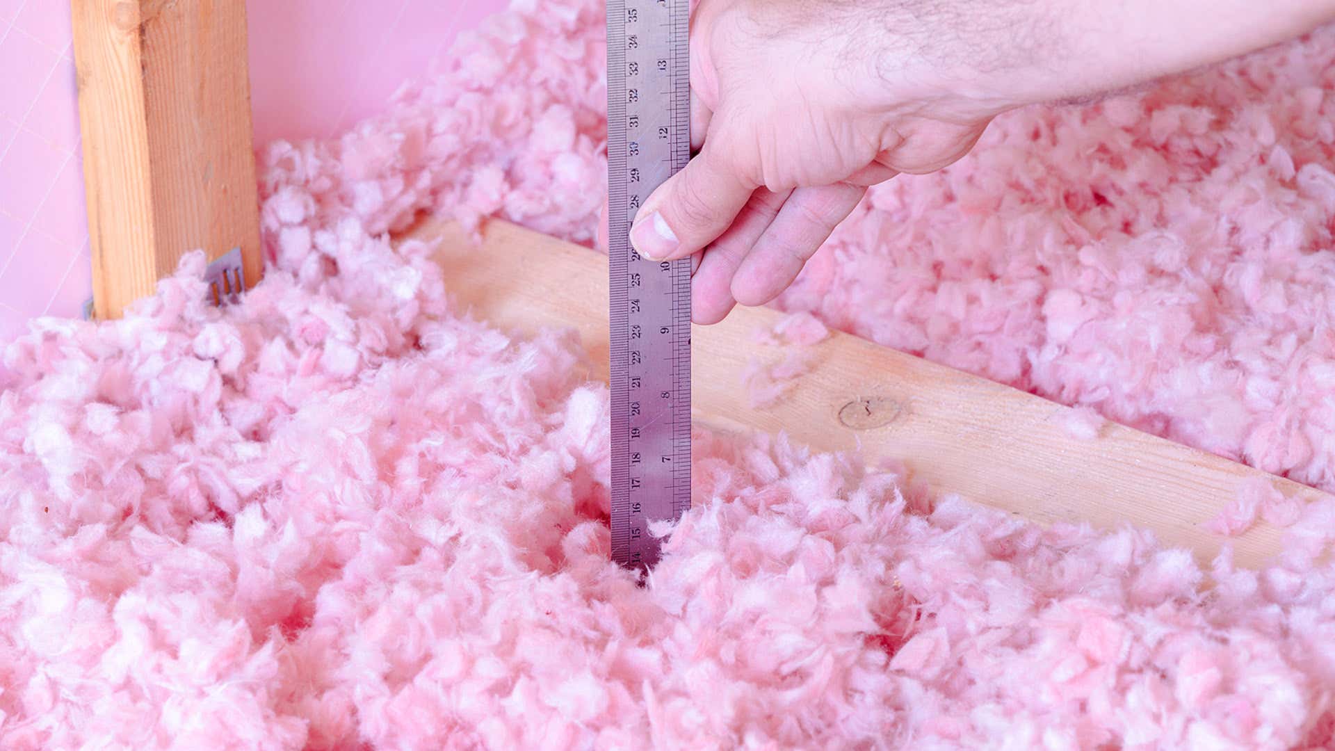 粉红色的自由形式绝缘由尺子测量。